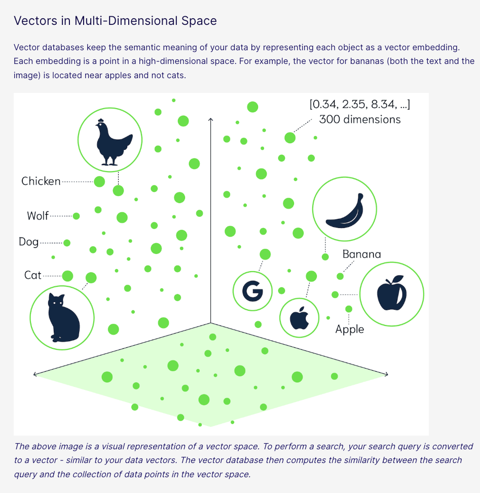 _images/5.vector_search_example.png