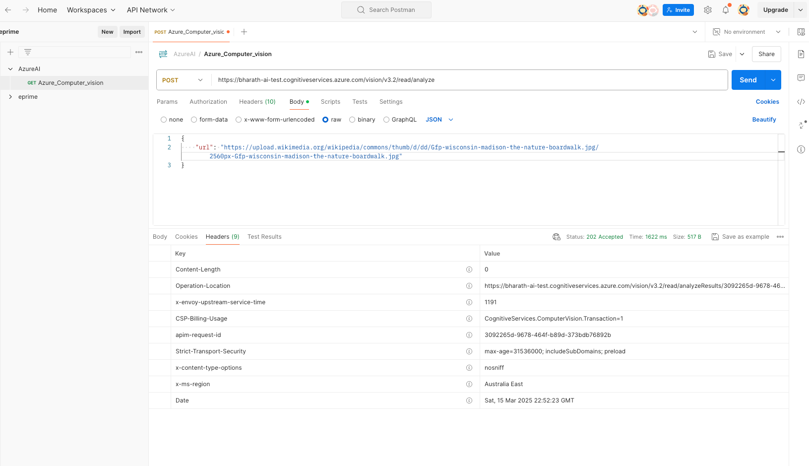 _images/8.azure-vision_POST_call.png
