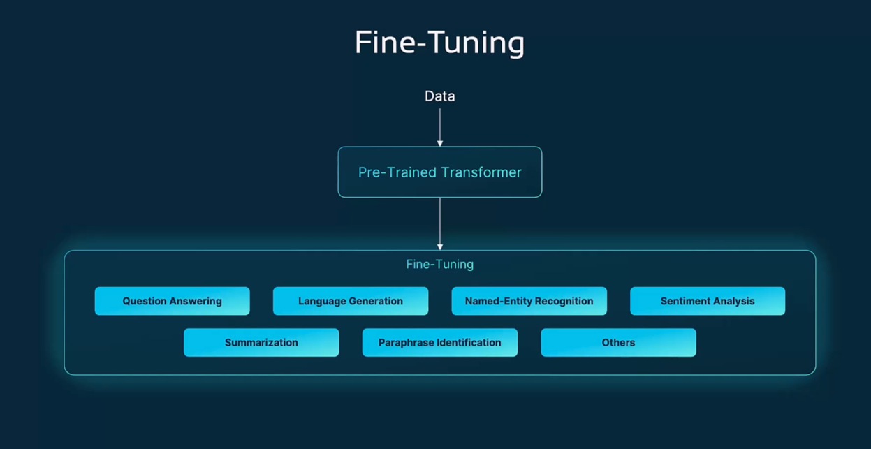 _images/fine_tuning.png